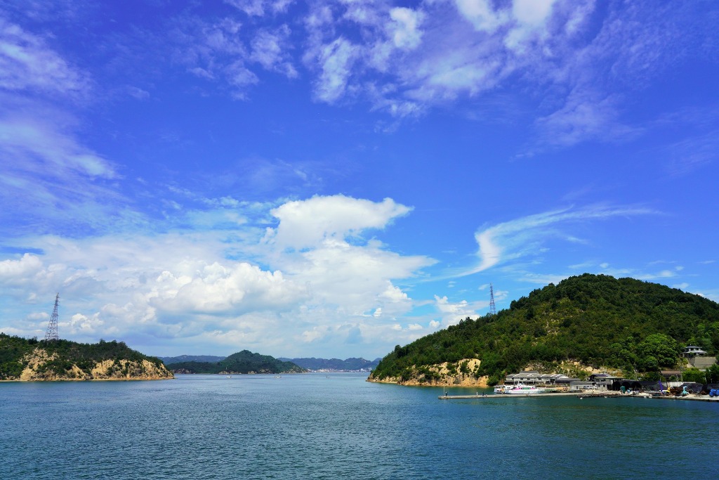 一棟貸しで人もペットもストレスフリー